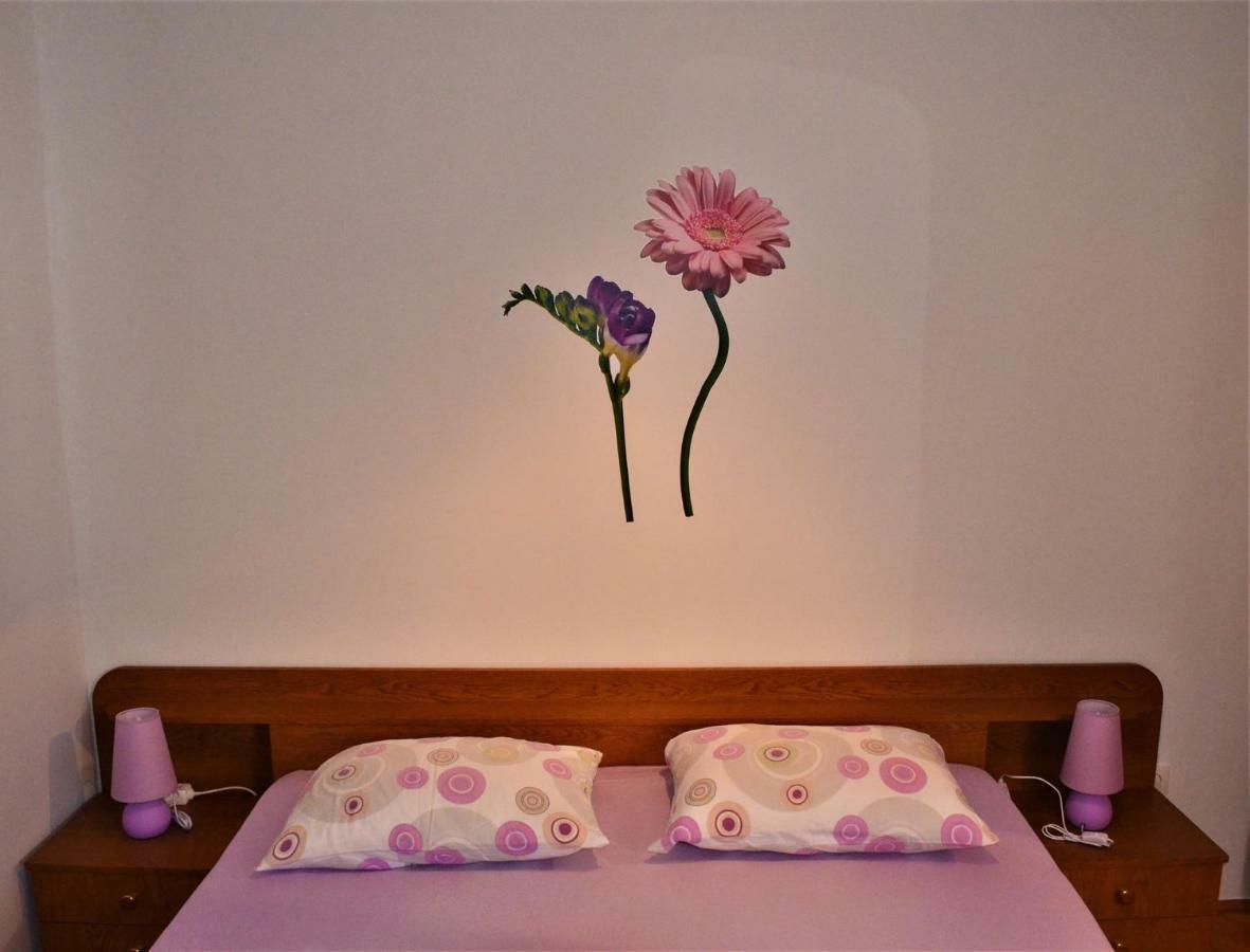 Apartman Rosa Pirovac Eksteriør billede